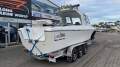 White Pointer 263