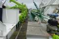 53.5m Purse Seiner