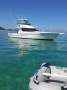 Precision 43 Flybridge