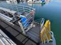 9.1m Multi-Level Tour Boat - "Sealion Express"
