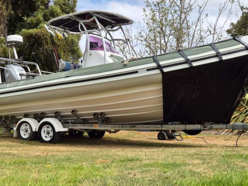 Gemini Waverider 730 Mercury verado 250
