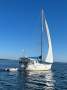 Beneteau Oceanis Clipper 361