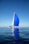 Hanse 590