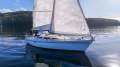 Northshore 33 OWNERS STATEROOM CONFIGURATION, STRONG PEDIGRE!E
