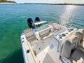 Sea Fox 288 Commander
