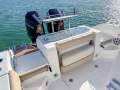 Sea Fox 288 Commander