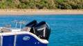 Sea Fox 288 Commander