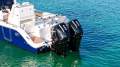 Sea Fox 288 Commander