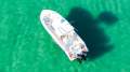 Sea Fox 288 Commander