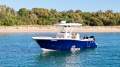 Sea Fox 288 Commander