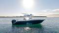 Sea Fox 288 Commander