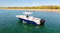 Sea Fox 288 Commander