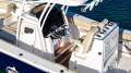 Sea Fox 288 Commander