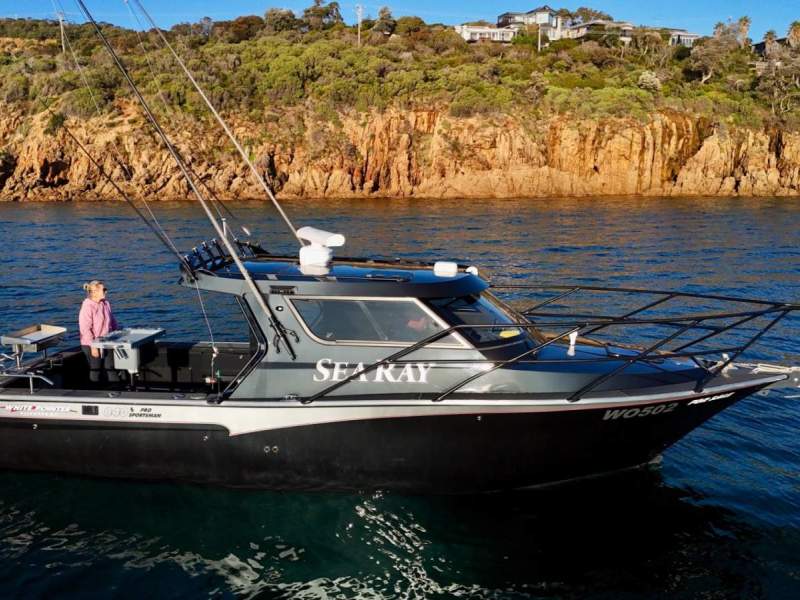 White Pointer 840 Pro Sportsman