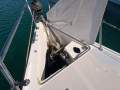 Catalina 309 With a Prime Coogee Marina Pen