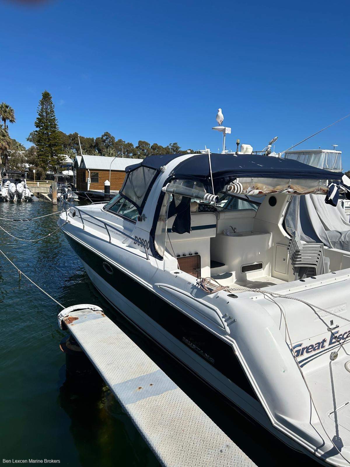Mustang 3800 Sportcruiser