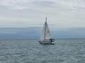 Whiting 40