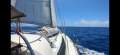 Whiting 40