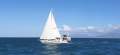Whiting 40