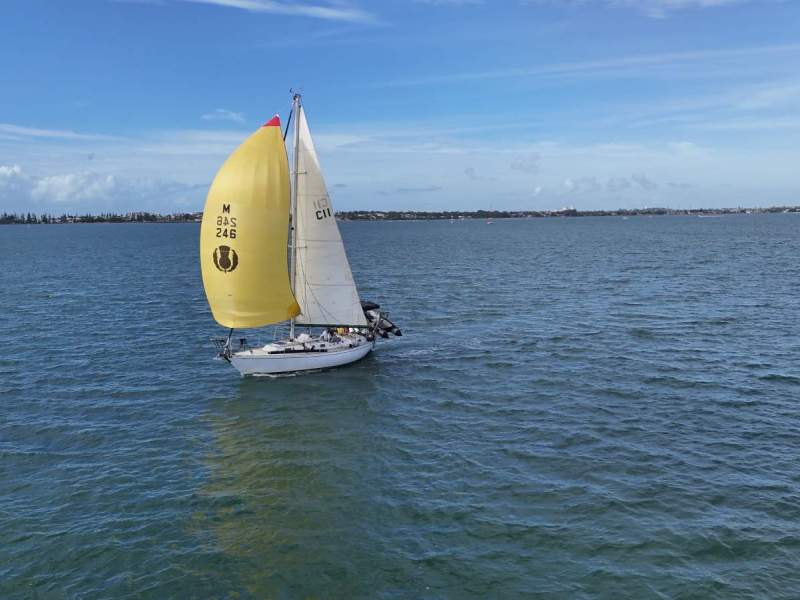 Adams 31 CC