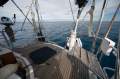 Nauticat 42