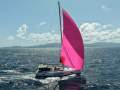 Hanse 460 - Highly Optioned Turn Key Bluewater Cruising Pack