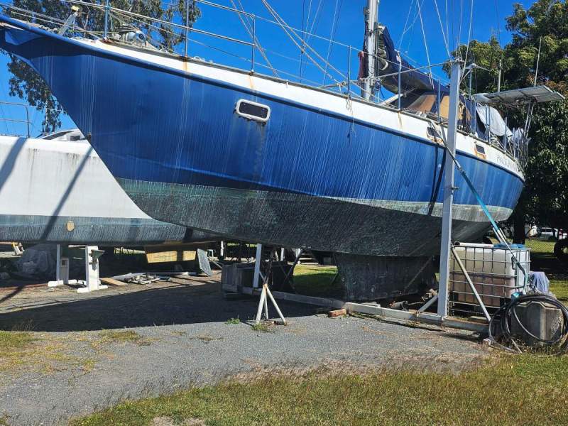 Reinke 12