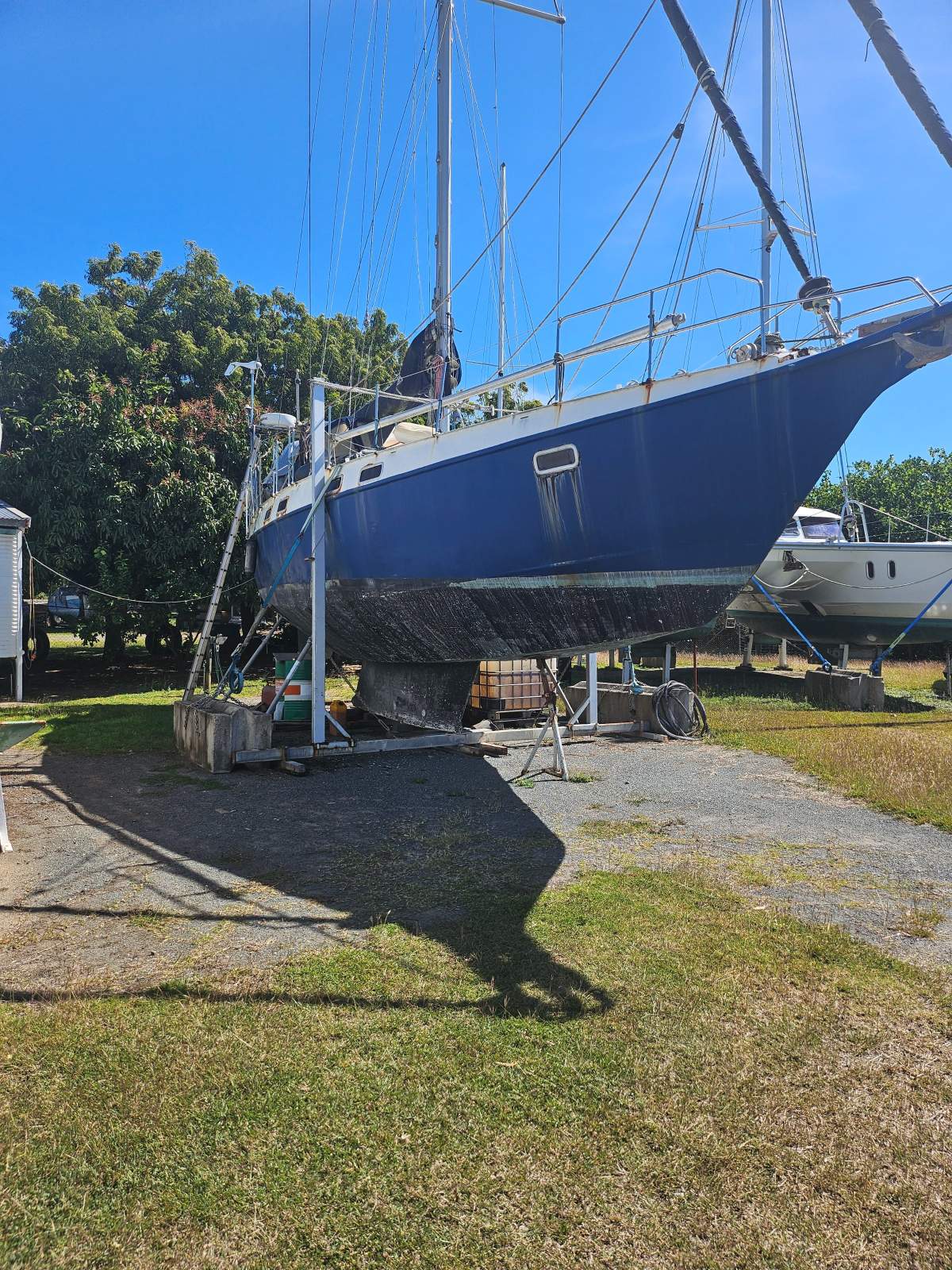 Reinke 12