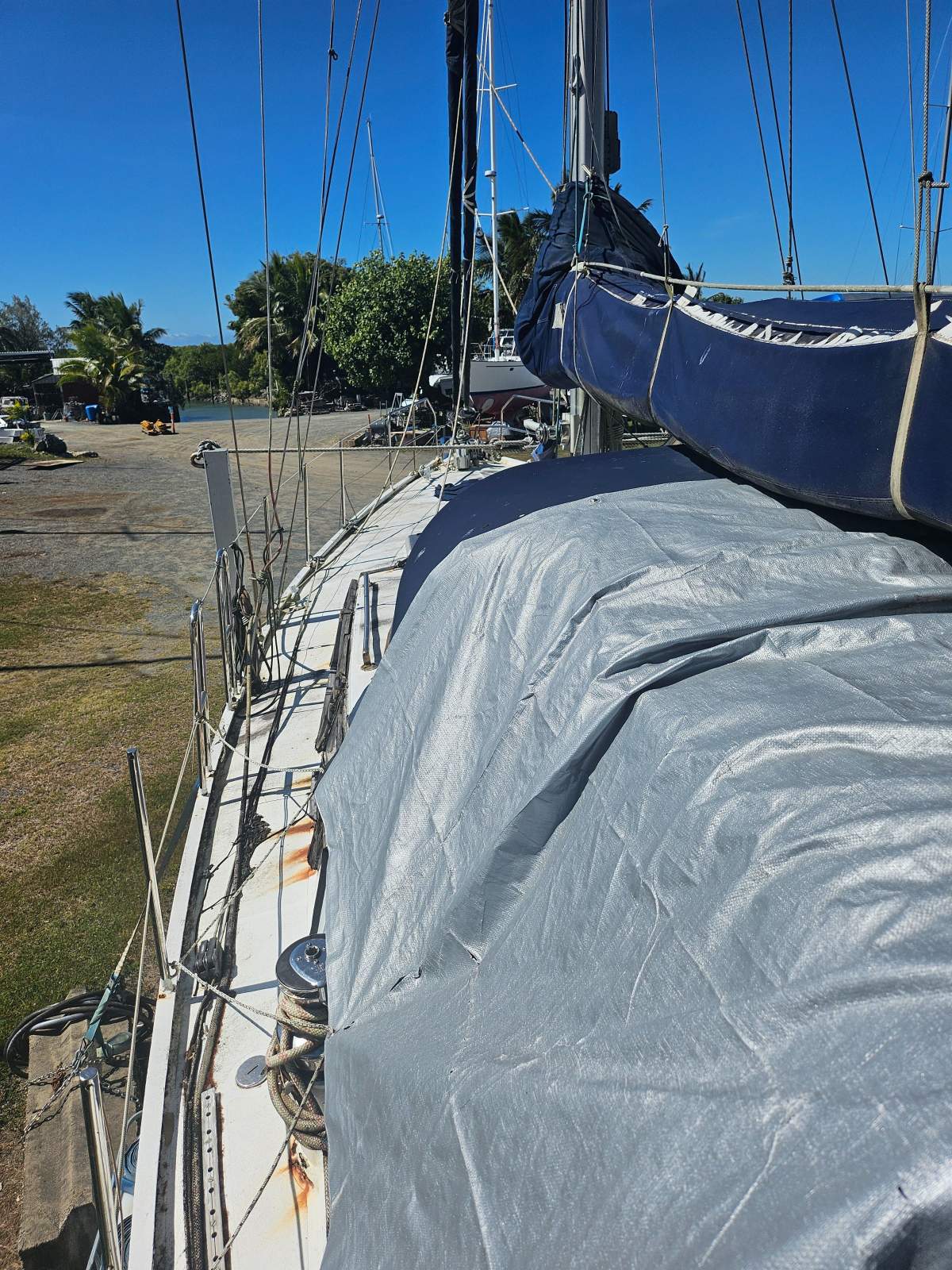 Reinke 12