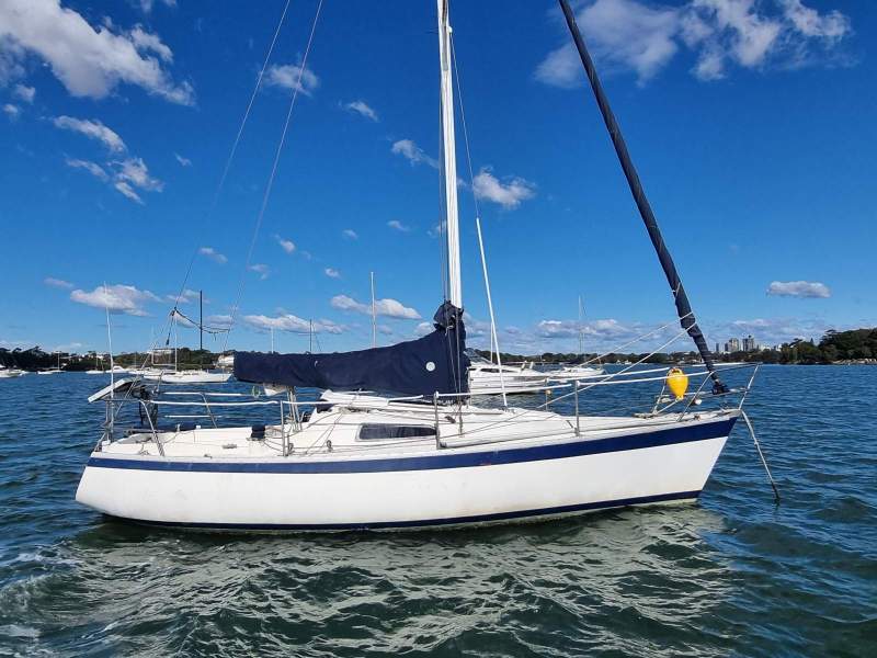 Hood Halvorsen 25