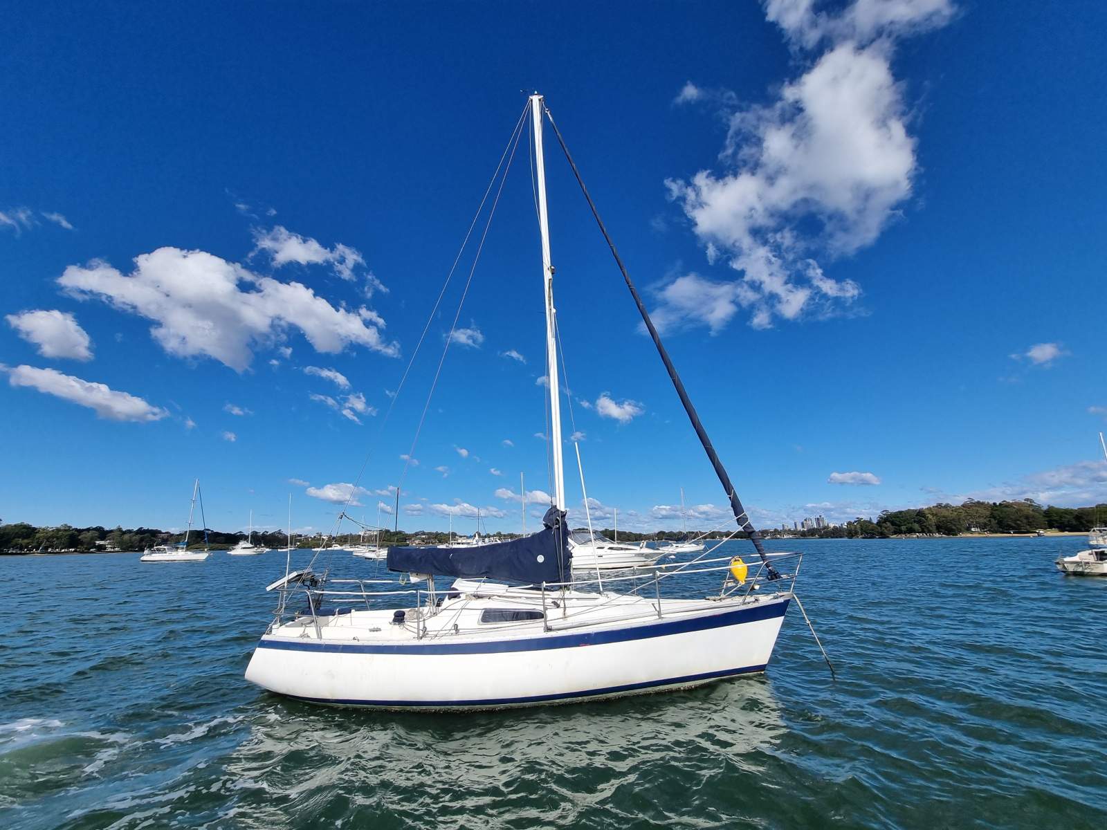 Hood Halvorsen 25
