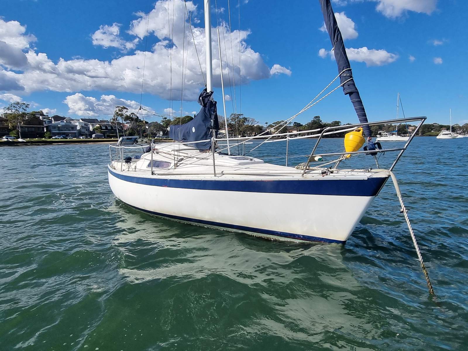 Hood Halvorsen 25