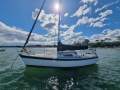 Hood Halvorsen 25