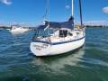 Hood Halvorsen 25