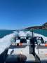 Woody Marine Fabrication 8.3m Commercial RIB