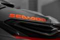 New Sea-Doo RXT X