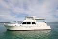 Assegai 53