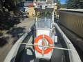 Naiad 6.8 RIB Commercial