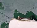 Arvor 855 Weekender