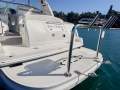 Sea Ray 355 Sundancer Sports Cruiser