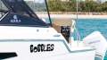 Aquila 32 Sport Power Catamaran