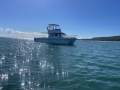Noosa Cat 3900 Profisher Flybridge