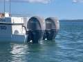 Noosa Cat 3900 Profisher Flybridge