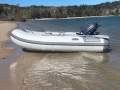 Noosa Cat 3900 Profisher Flybridge