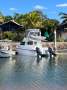 Noosa Cat 3900 Profisher Flybridge