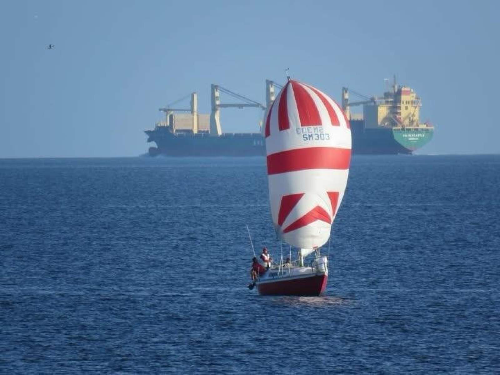 Triton 24