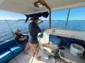 Swiftcraft Mariner 31