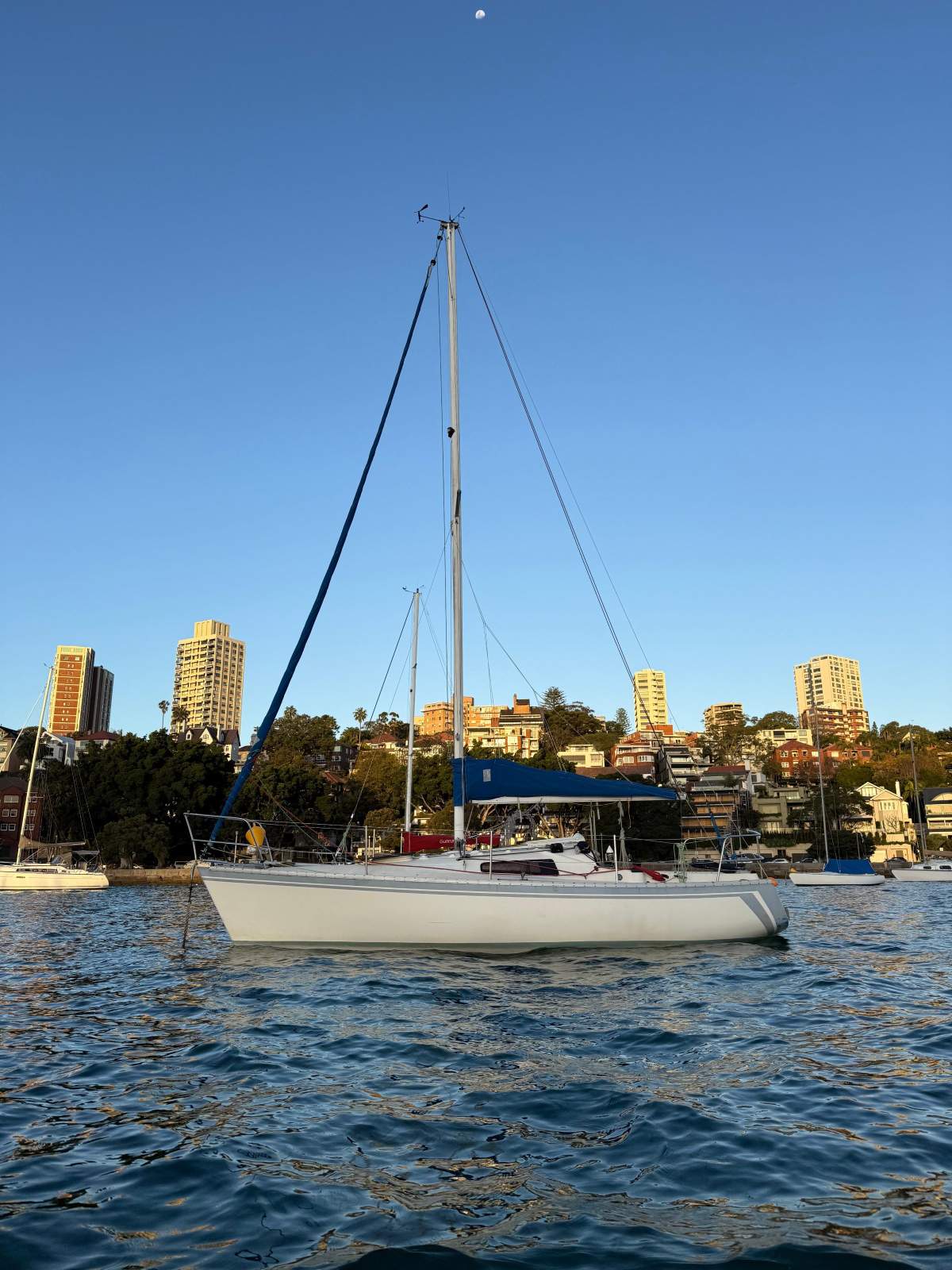 Halvorsen Hood 25 'Celtic Lady'