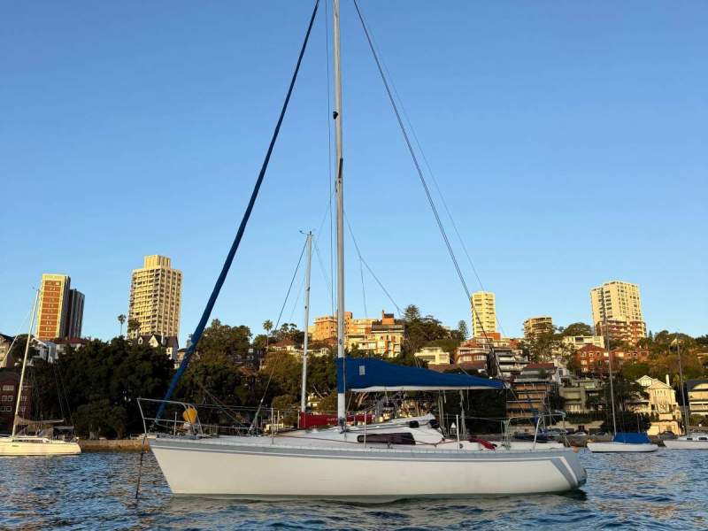 Halvorsen Hood 25 'Celtic Lady'
