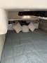 Mustang 3800 Sportscruiser